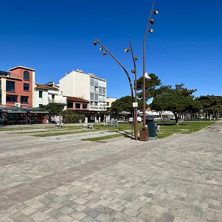 A 200m De La 2 Couchages Ar450-0404 * Argeles-sur-Mer